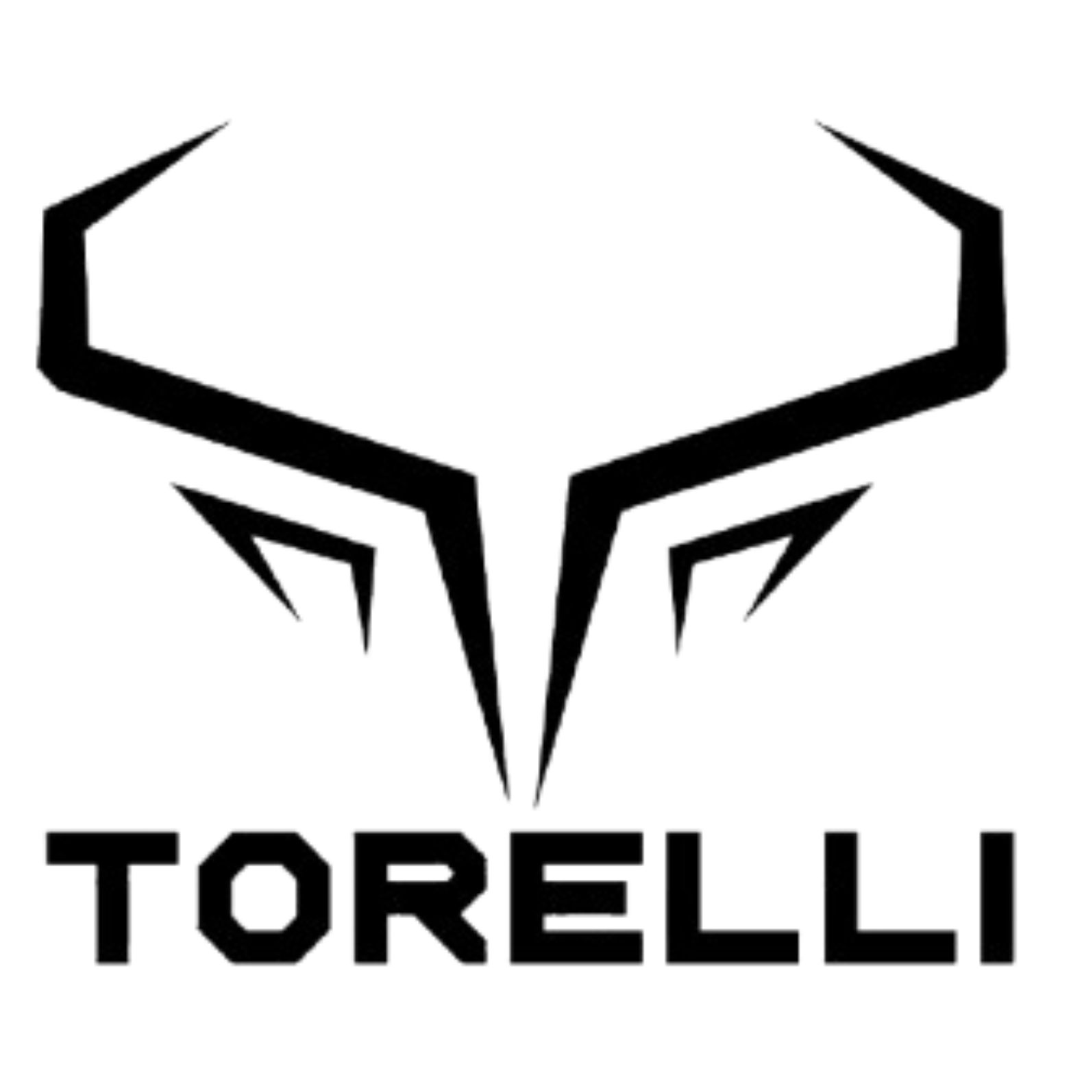 Logo Montacargas PRO